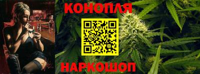 шишки Вышний Волочёк