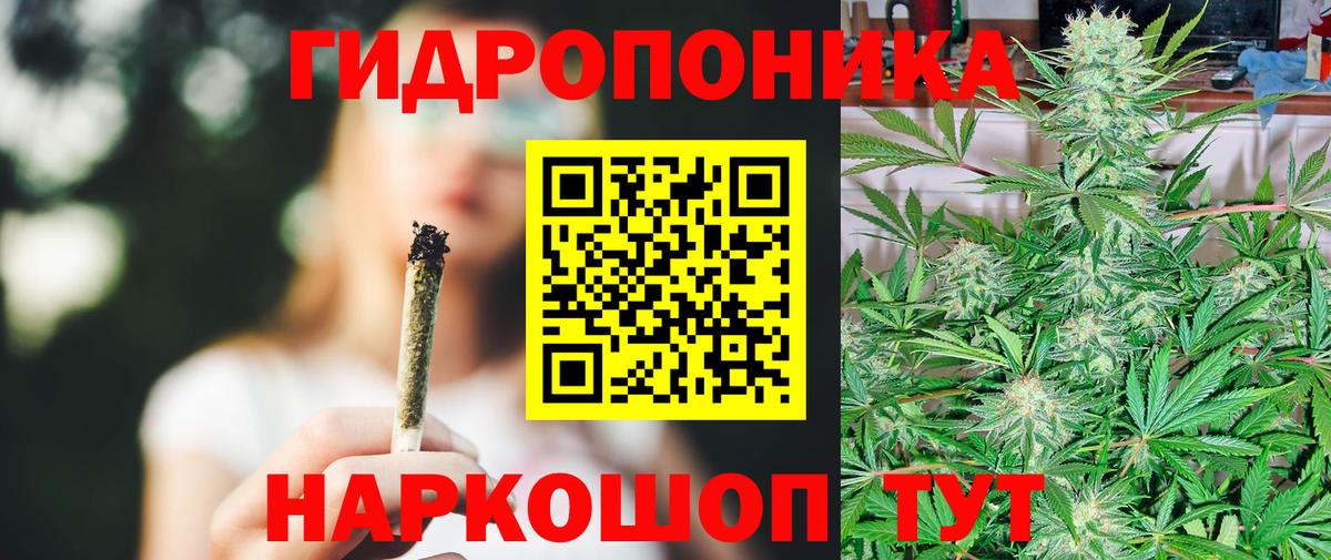 Шишки марихуана OG Kush Тимашёвск